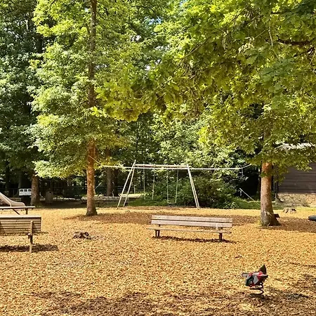 Chalet Oree Du Bois Petit Mesnil